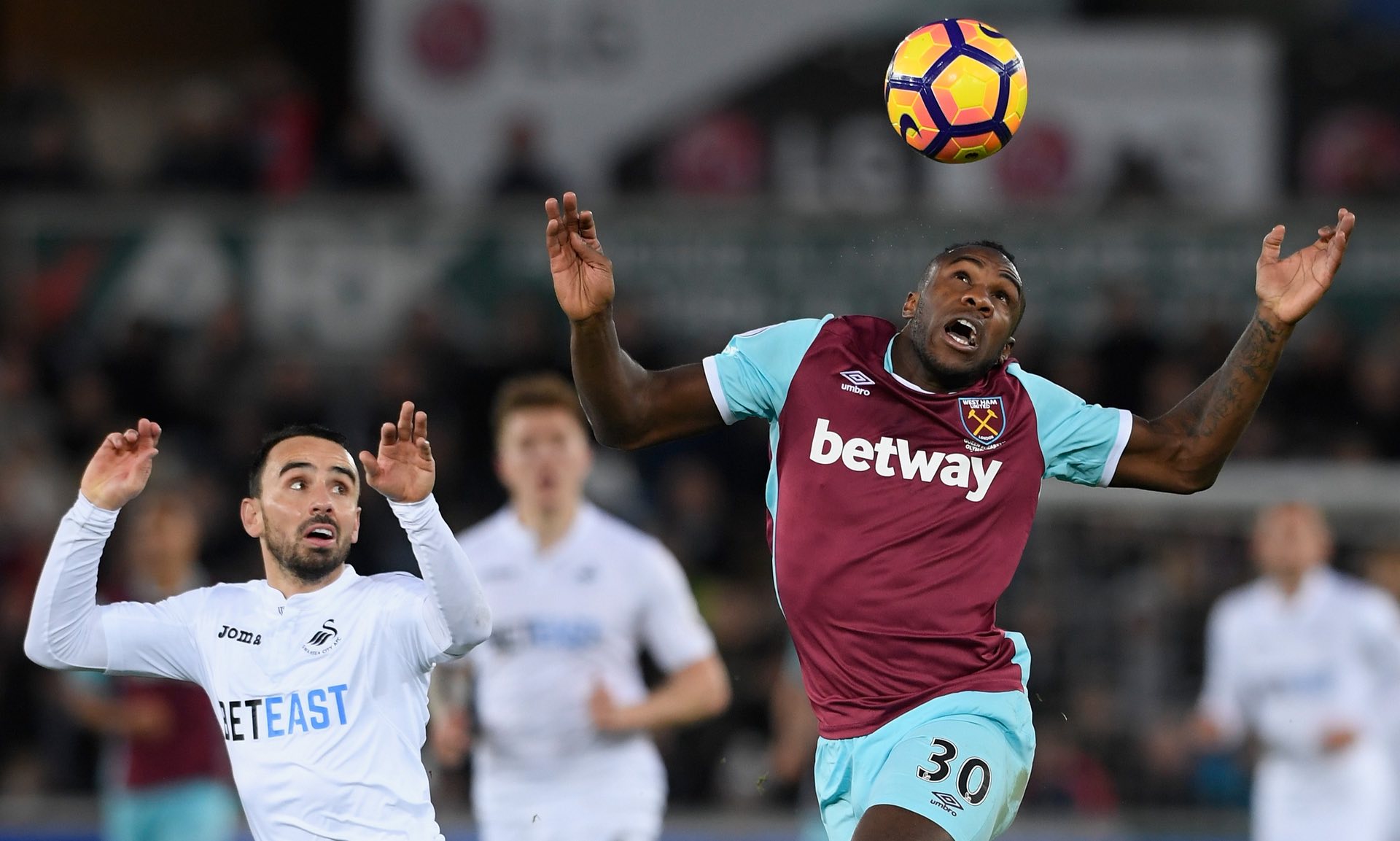 也为他的家 也为他的家